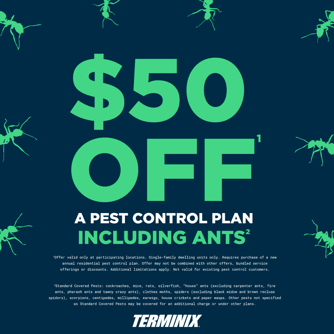 ANT CONTROL FROM TERMINIX