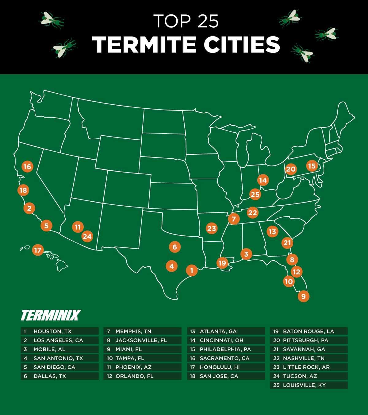 termite cities