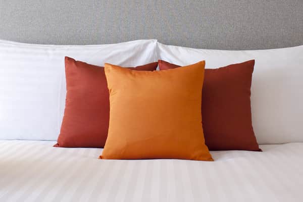 bed bugs in hotels