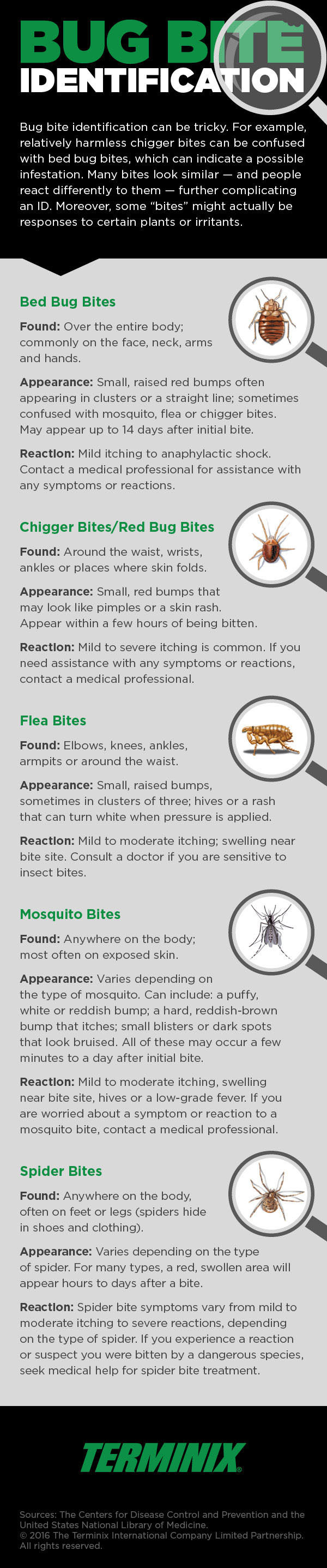 bug bite ID infographic