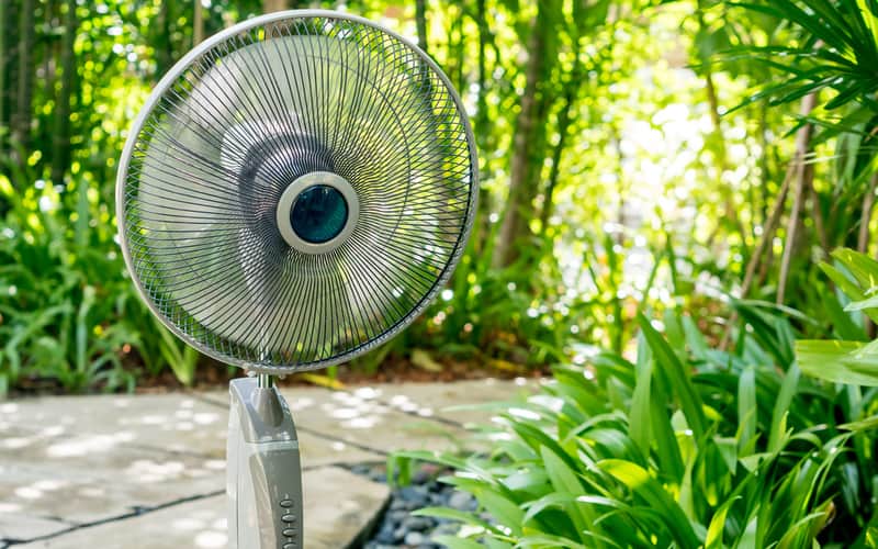 Can Fans Help Keep Mosquitoes Away?