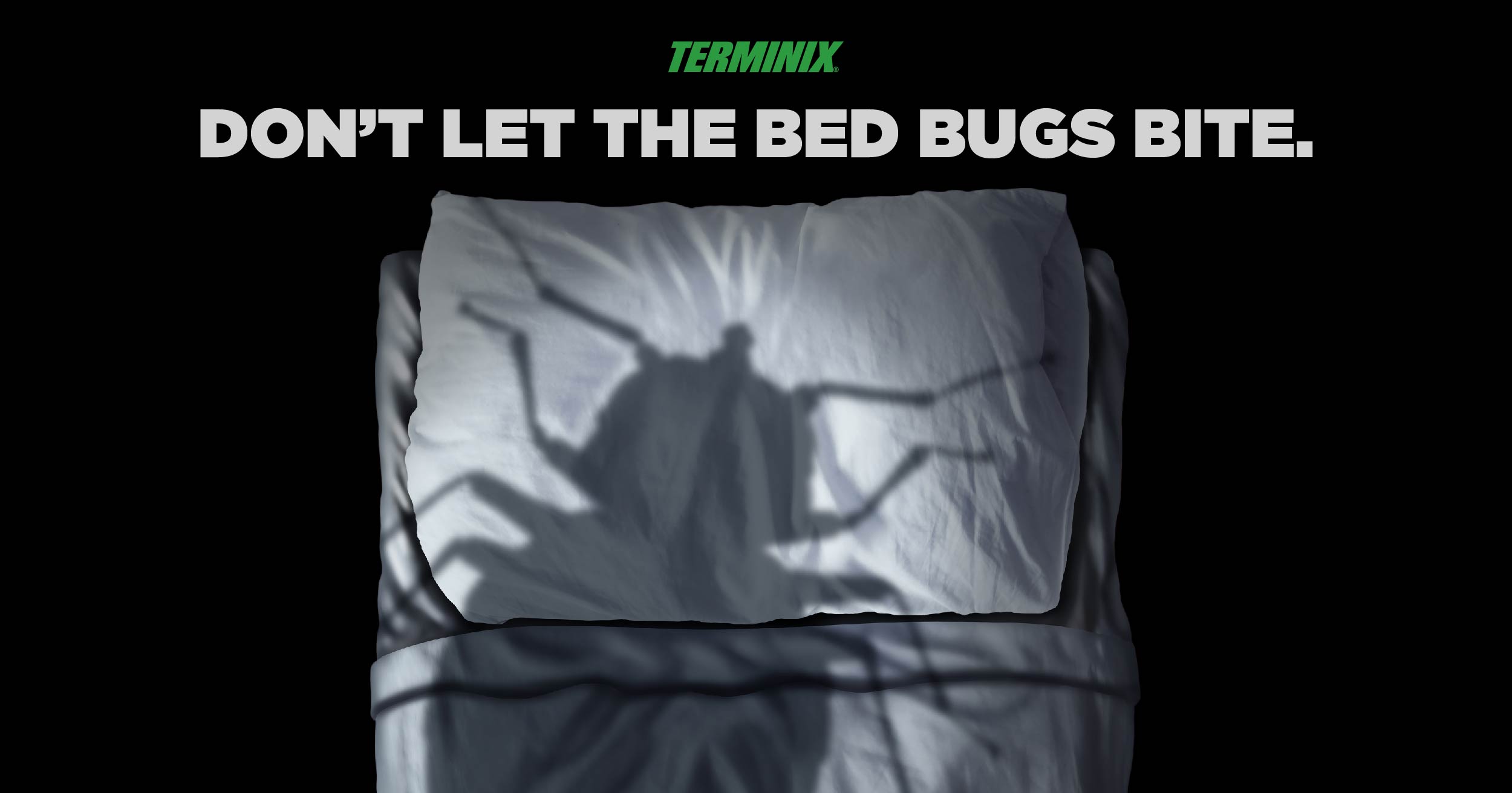 how to survive bed bugs