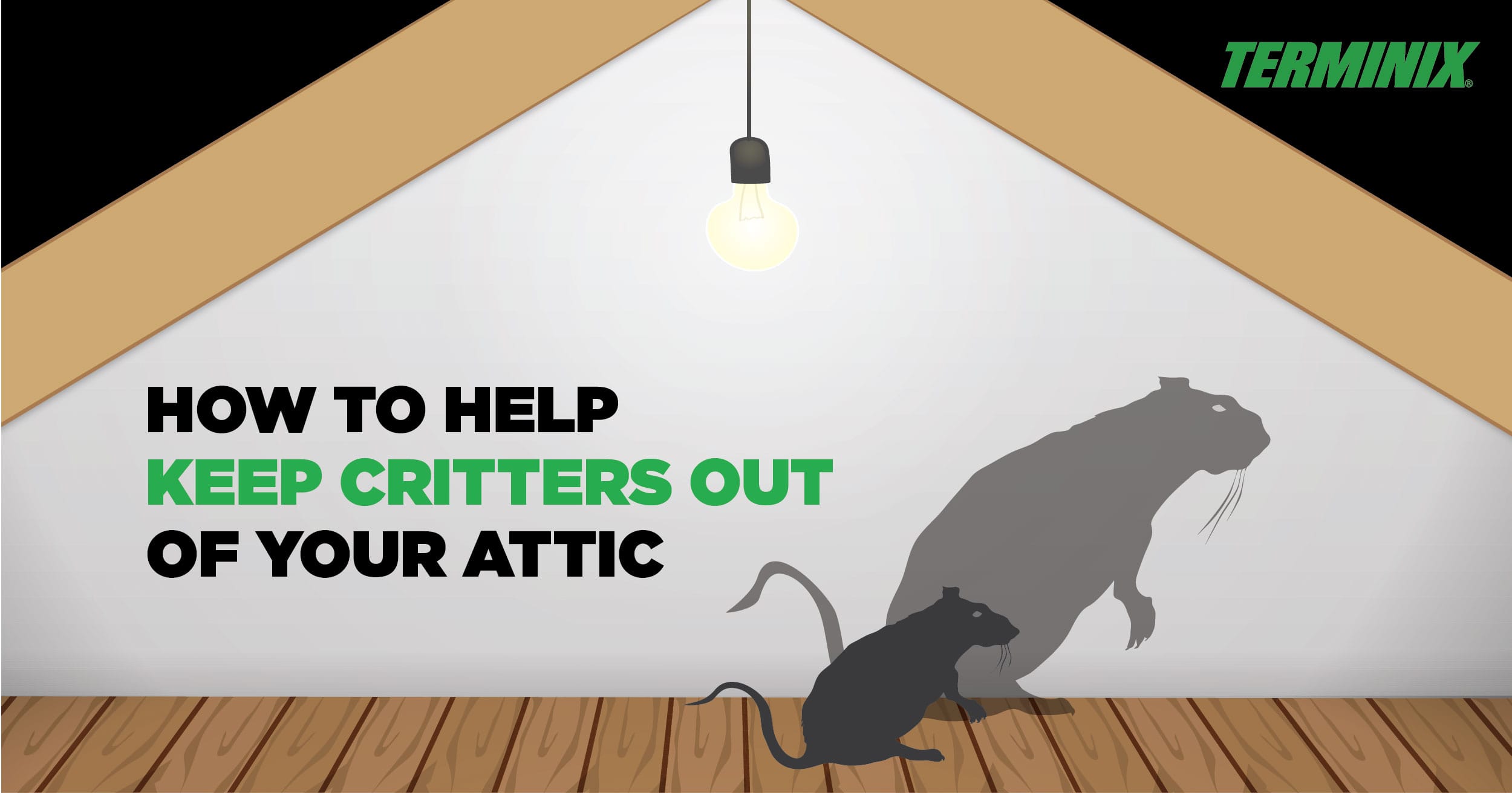 critters in attic