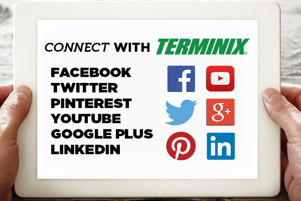 follow Terminix on social media