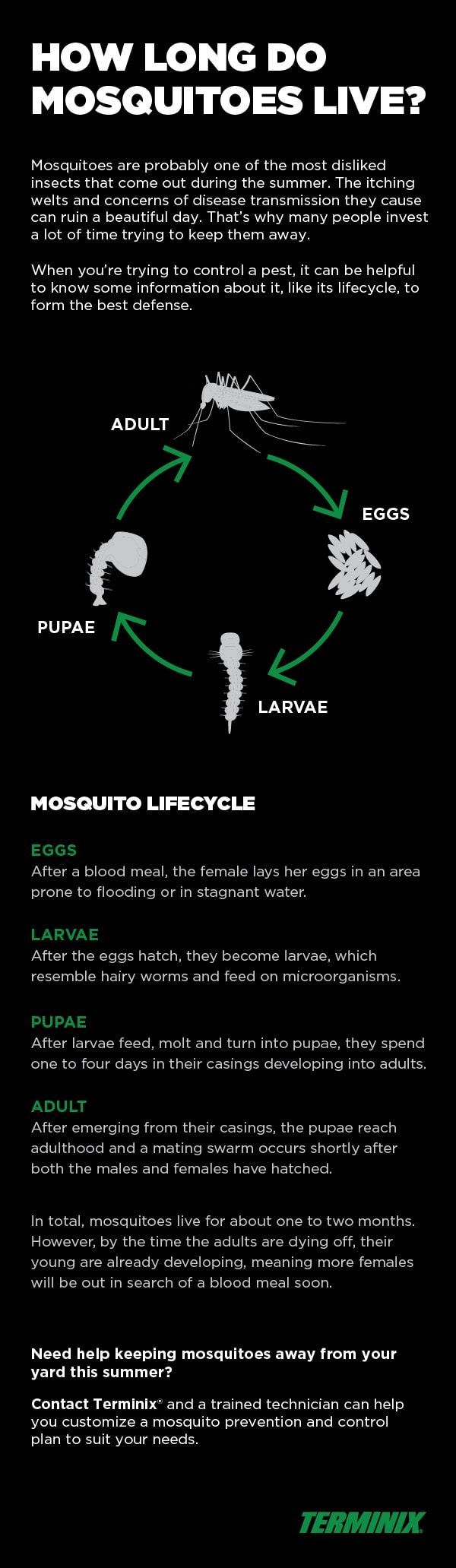 how long do mosquitoes live