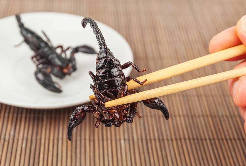 scorpions chopsticks