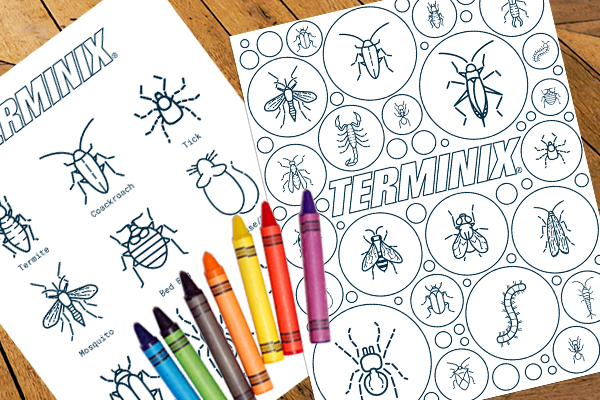 stay-at-home bug activities that parents and kids will love