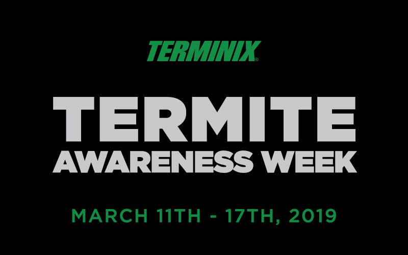 Terminix-Termite-Awareness-Week-2019-Blog