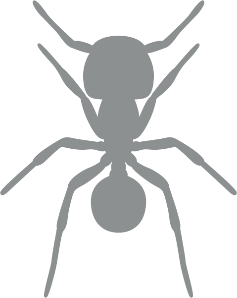 grey ant icon