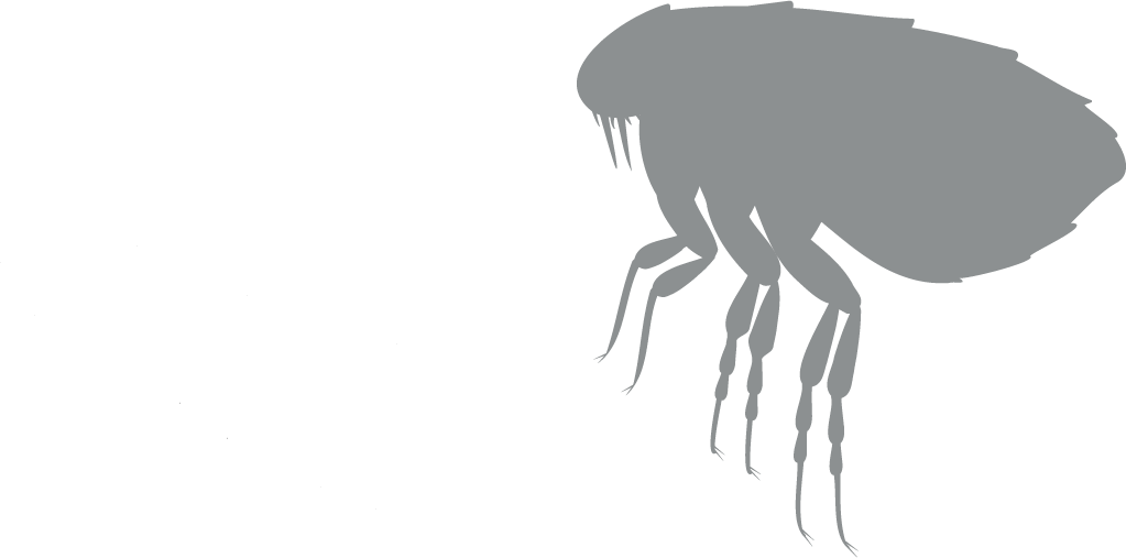 flea grey icon