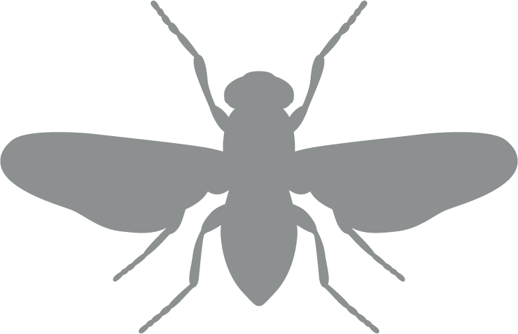 grey fly icon