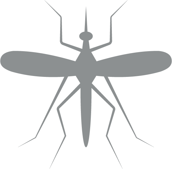grey mosquito icon